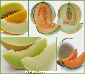 MELON/CEPEA: Sales may improve in September