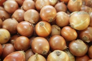 CEBOLA/CEPEA: Volume de cebolas importadas aumenta e pressiona cotações