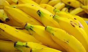 BANANA/CEPEA: Exports decreased in volume this year