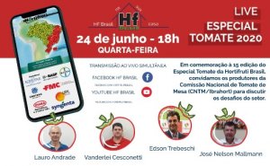 HORTIFRUTI/CEPEA: Live Especial Tomate 2020