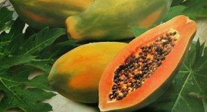 Papaya exports can be better in October