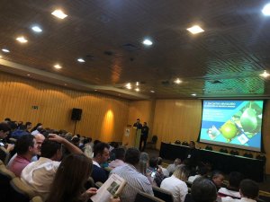 HORTIFRUTI/CEPEA: HF Brasil participa de evento de abacate no interior de SP