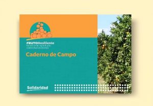 HORTIFRUTI/CEPEA: Organização lança caderno de campo para gestão da produção citrícola