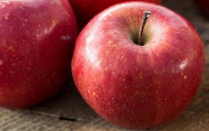APPLE/CEPEA: Exports fall in the first trimester of the year