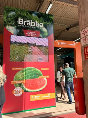 ESPAÇO DO PARCEIRO: Basf lança novo inseticida multicultura; na linha de sementes, conheça a Melancia Brabba