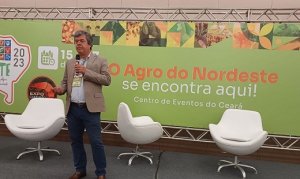 FRUTAS/CEPEA: Brasil precisa conquistar novos mercados para exportação