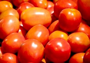 ESPECIAL HORTALIÇAS: Custo de produção de tomate em Goiânia (GO)
