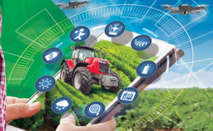 HORTIFRUTI/CEPEA: Agricultura digital - Ainda é necessária mais inclusão tecnológica!
