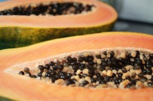 MAMÃO/CEPEA: 2020 se encerra com bom volume exportado da fruta