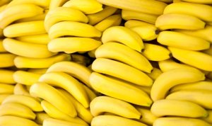 BANANA/CEPEA: Importaremos banana do Equador?