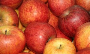 MAÇÃ/CEPEA: Perdas na Ceagesp são menos intensas frente às demais frutas