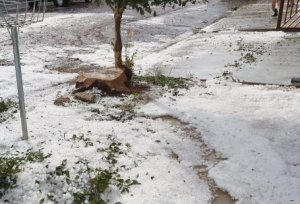 HORTIFRUTI/CEPEA: Fortes chuvas atingem regiões brasileiras