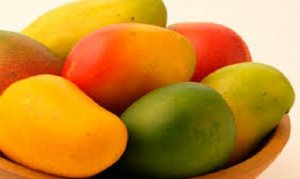 Mango producers looking for better color for kent