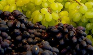 HORTIFRUTI/CEPEA: Impactos do acordo Mercosul-UE ao mercado de uva