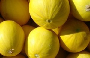 MELON/CEPEA: Prices fall, even with controlled supply