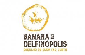 BANANA/CEPEA: Bananicultores lançam marca coletiva em Delfinópolis