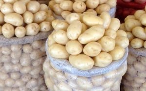 HORTIFRUTI/CEPEA: Custo de produção de batata beneficiada no Sul de MG