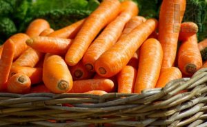 CARROTS/CEPEA: Reduced supply leveraged prices