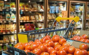 HORTIFRUTI/CEPEA: Como manter o tomate como número 1 em consumo?
