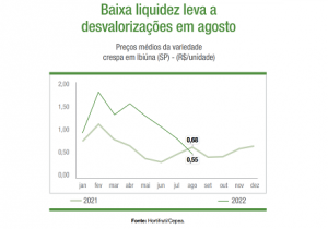 ALFACE/CEPEA: Baixa liquidez leva a desvalorizações em agosto