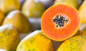 PAPAYA/CEPEA: Exports are profitable, even with a drop in volume
