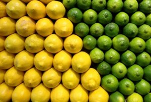 HORTIFRUTI/CEPEA: Limões e limas são competitivos desde 2005