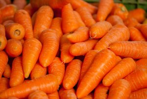 CENOURA/CEPEA: Calor excessivo deixa cenouras mais finas em MG