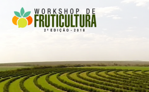 HORTIFRUTI/CEPEA: HF Brasil participa do Workshop de Fruticultura em MG