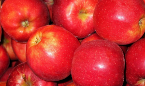 HORTIFRUTI/CEPEA: Impactos do acordo Mercosul-UE ao mercado de maçã
