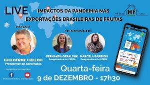 HORTIFRUTI/CEPEA: Impactos da pandemia nas exportações brasileiras de frutas