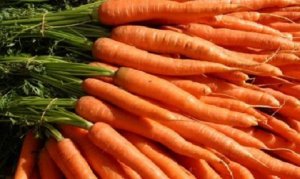 São Gotardo has high supply of carrots