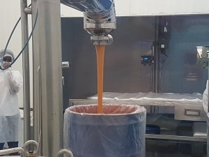 CITROS/CEPEA: Cotações do suco de laranja alcançam máximas históricas