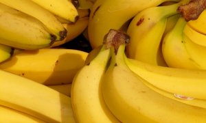 HORTIFRUTI/CEPEA: Como está a participação da banana nos envios à UE?