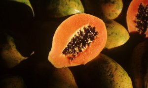 MAMÃO/CEPEA: Além dos descartes, fruta perde qualidade na Ceagesp