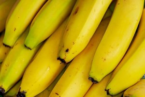 HORTIFRUTI/CEPEA: Impactos do acordo Mercosul-UE à banana