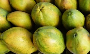 MAMÃO/CEPEA: Fruta brasileira em alta no mercado internacional