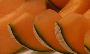 MELON/CEPEA: Exports from the 2023/24 harvest reach new highs