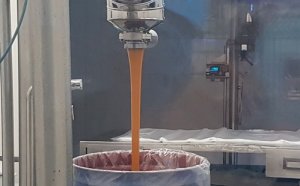 CITROS/CEPEA: Processamento de laranjas segue em ritmo lento