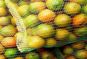 CITROS/CEPEA: Mercado de laranja pode reagir em junho?