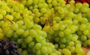 HORTIFRUTI/CEPEA: Altas exportações de uva no 1º sem e atraso na abertura da janela no 2º marcam 2021