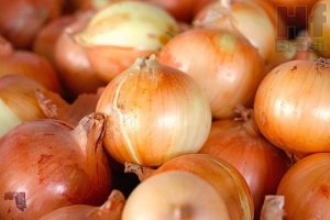 ONION/CEPEA: South season is coming to end; prices are high