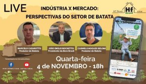 HORTIFRUTI/CEPEA: Perspectivas para a bataticultura nacional em 2021
