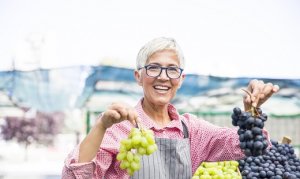 HORTIFRUTI/CEPEA: Comer uvas pode prevenir demência e prolongar a vida, diz estudo
