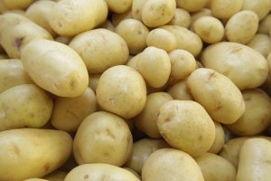 POTATO/CEPEA: Prices register a significantly increase this month