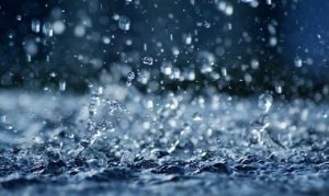 HORTIFRUTI/CEPEA: Impactos das chuvas na região Nordeste