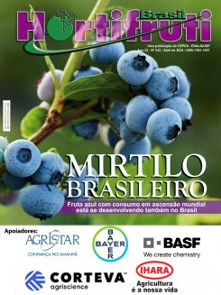 Mirtilo: Fruta com consumo em ascensão mundial também está crescendo no Brasil