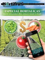Quanto custa produzir hortaliças no Brasil?