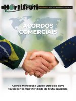 Acordo Mercosul e UE deve favorecer competitividade do BR