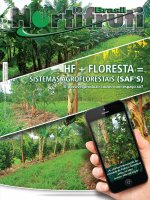 Agroforestry System