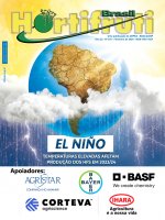 El Niño: High temperatures affect Brazilian horticulture production in 2023/24 season
